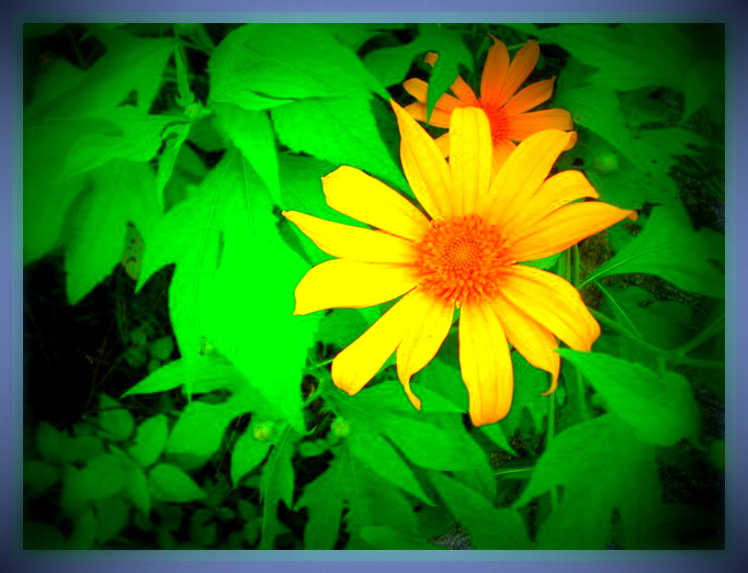 สวัสดีน้องโน๊ต .................. จัดไปอย่าให้เสีย  :grin: :grin: :grin: :grin: :grin:
