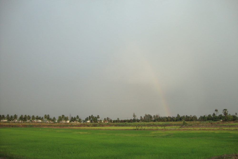หลังจากฝนหยุดแล้ว.......... :grin: :grin: :grin: :cheer: :cheer: :cheer: :cheer: :cheer: