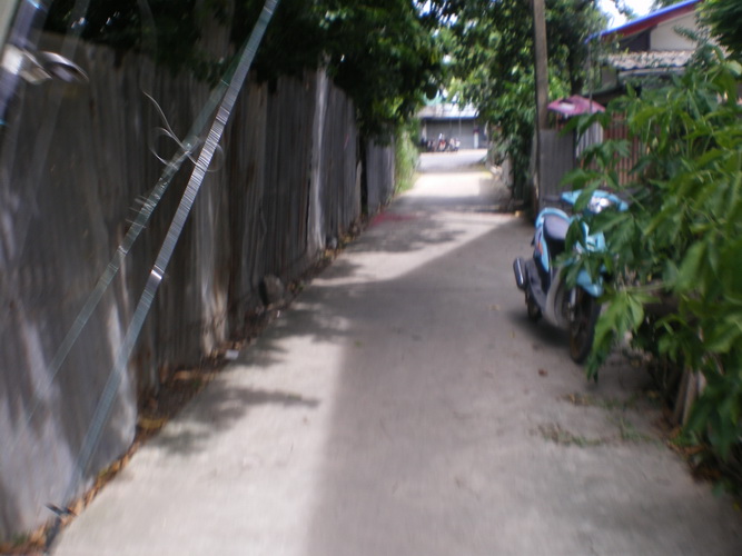 ออกเดินทางกลับ ไปทางลัด  (มั้ง). . 
