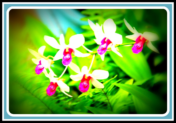 ลากันด้วยภาพนี้ครับ ...........................  :blush: :blush: :blush: :blush: :blush:

ขอบคุณ .