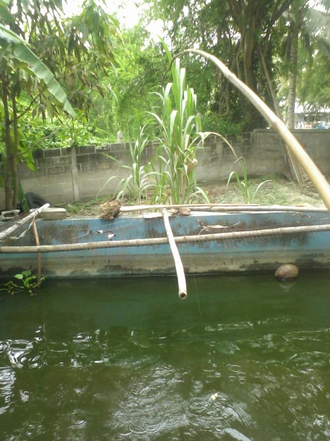 ว้าว 