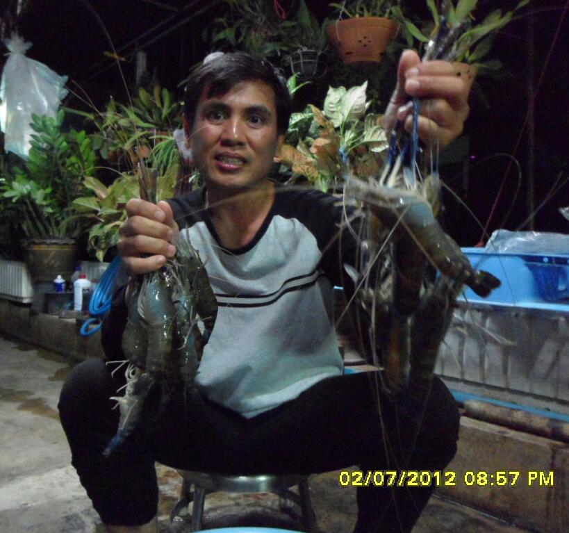 คิด ถีง น้อง กุ้ง เลย ต้อง ไป หา ไต่ น้อง แห่งลุ่มนำ้บางปะกง