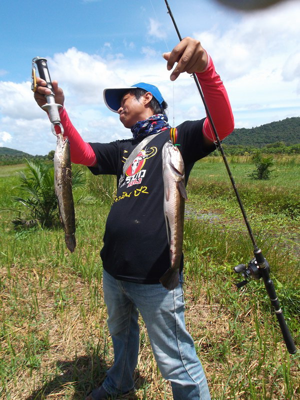                               ป๊าดดดดดดดดดดดด...ได้ทีขี่แพะไล่ (โปรอ้วน) ใหญ่เลยโว้ยยยยยย..อีตาดุ่ย.