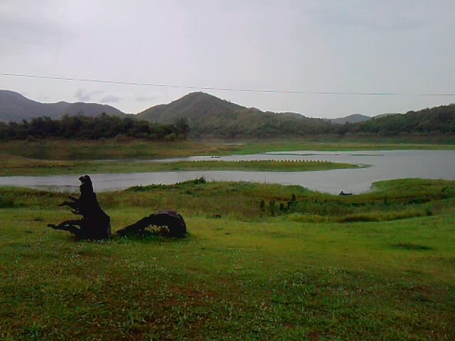 สวยๆ