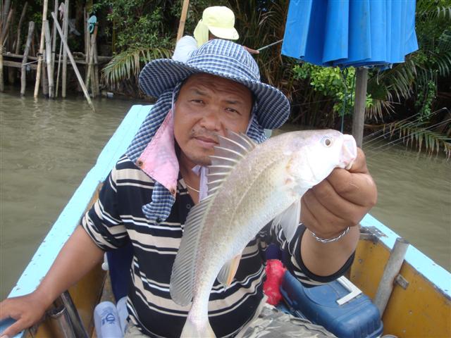 กุ้งเริ่มไม่ค่อยกินแล้ว ไปหาตกปลาเล่นบ้างดีกว่า น้าตู่ก็ได้หางกิ่ว มาหนึ่งตัว