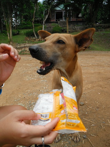 ดูสิให้ขนมกิน มันหัวเราะใหญ่เลยฮ่าๆๆ :laughing: :laughing: