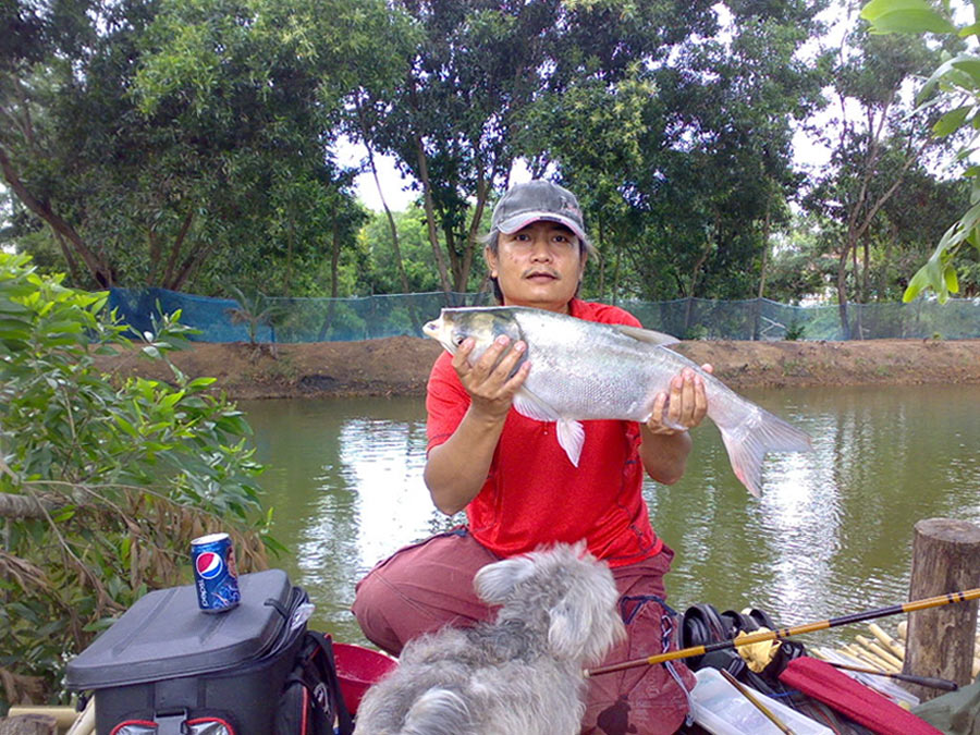   สุดท้าย ท้ายสุดก็ได้เห็นโฉมหน้าปลาเล่งตัวใหญ่ๆ สักที ( น้าปองบอก มีใหญ่กว่านี้เยอะ แต่ตัวนี้ถือว่า