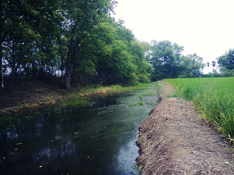หมายชัดอิกที 55+

 :prost: donkab2
 :prost: FiShinGPex