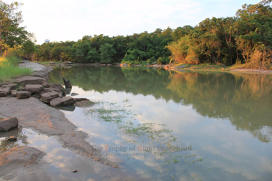 
[b]ขออนุญาตพักหนังสักครู่ครับ กับภาพหมายสวยๆ ทีเด็ดโทรฟี่ของผม
ไปกินข้าวแป๊บเดียว เดี๋ยวมาต่อให้จ