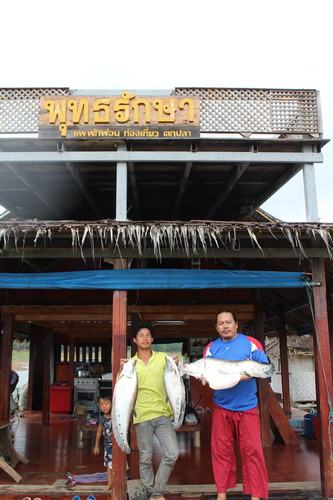 พอเราวิ่งกับมาที่แพพุทธรักษา ไต๋หมาย บอกขอถ่ายรูปเป็นที่ระลึกก็เลยจัดให้ครับ