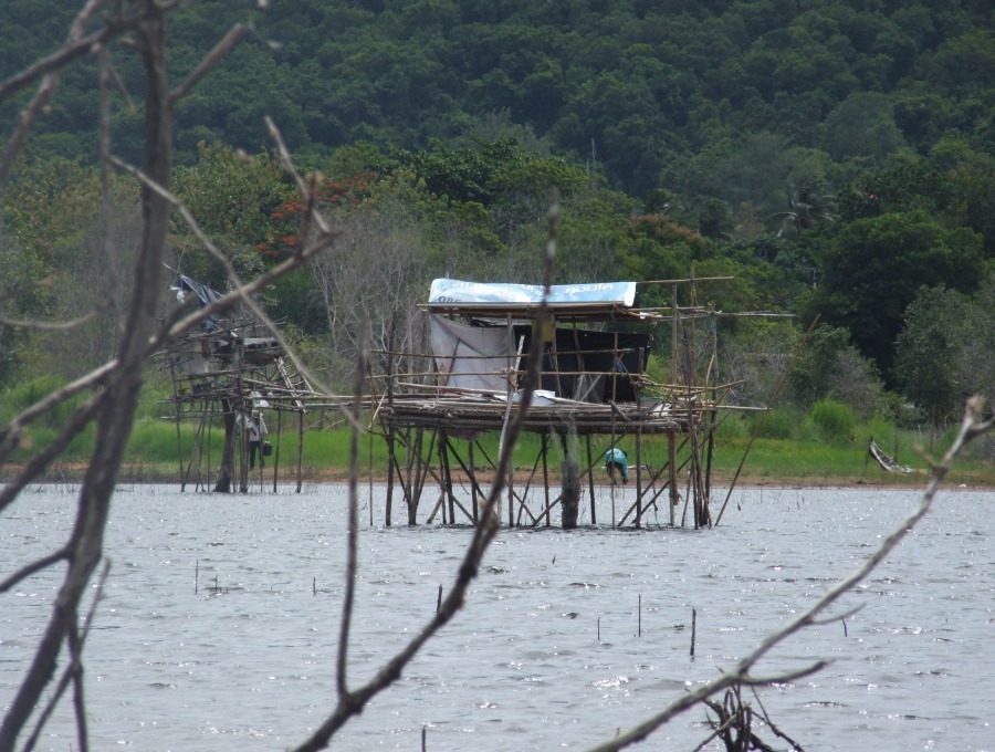 นัดกันกับเรืออีกลำมากินข้าวแถวๆนี้ครับ




ขอให้สนุกกับการตกปลานะครับ

[q][i]อ้างถึง: armyste