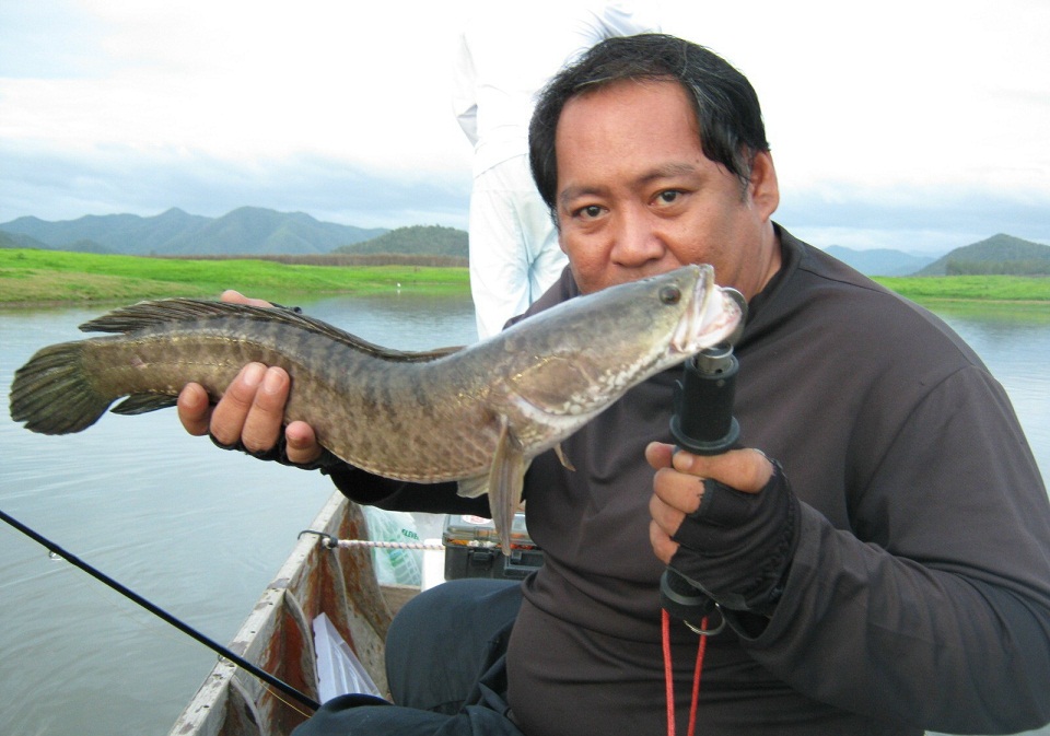 ปลากับข้าวครับ :smile: