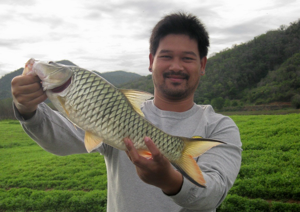 ตัวนี้หล่อเลย :cheer: