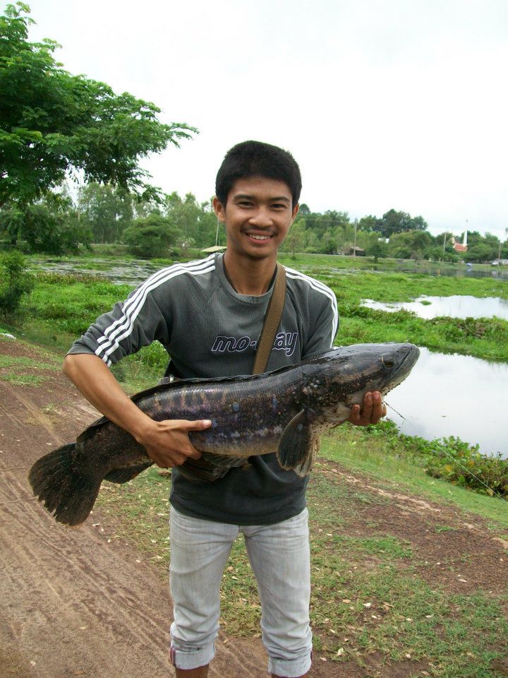 ขอฝากเนื้อฝากตัวกับ พี่ๆ น้าๆชาวSiamfishing ทุกท่านคร้าบ