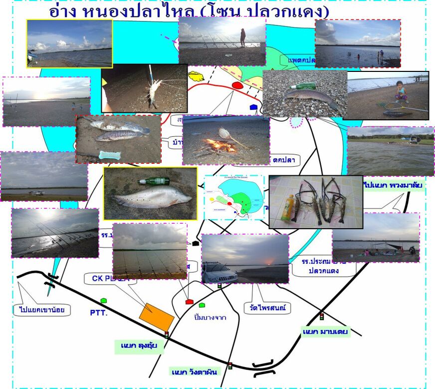 ชีวิตกลางแจ้ง 15 คืน  @ หนองปลาไหล