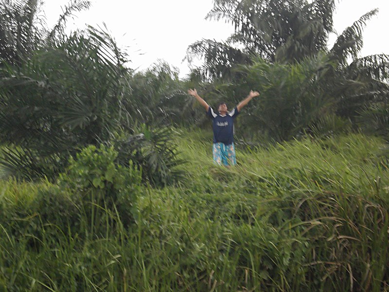                 ก้อฉามไม่ได้บ้า เหมือนอีตาดุ่ยนี่คร้าบบบบ..ดูมรันสิ ยืนตากฝนซะงั้น... :wall: :wall: 