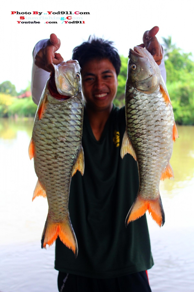 มิตรภาพของคนที่ไม่เคยรู้จักกัน