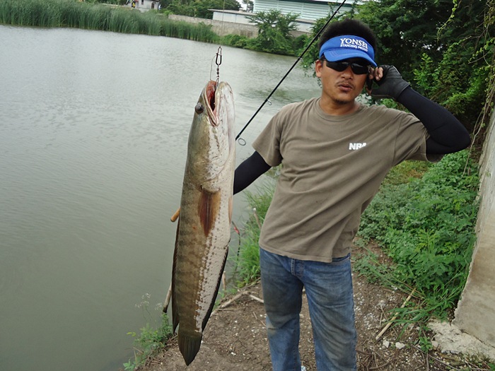 พวกกัน..โทรหา ซะงั้น  :laughing: :laughing: :laughing: