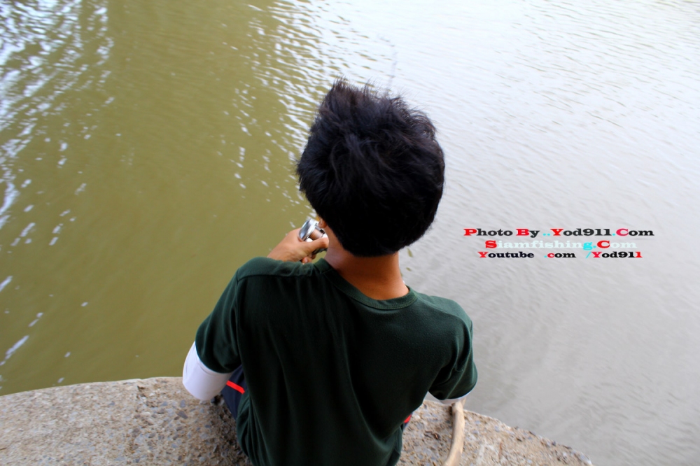 เอาให้แน่ปลาหรือตอไม่รู้แหล่ะขอถ่ายก่อน เพราะยังไม่เห็นวี่แววจากสัตว์ใต้น้ำ