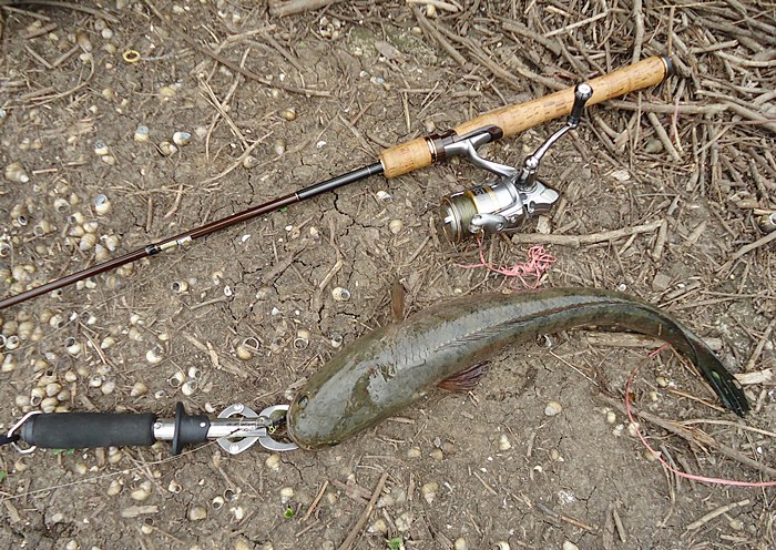 DAIKO BURROUGH  กะ SHIMANO NASCI 2500  ไปไถ่จาก ที่รุ่นน้องไปตึ๊งมา มันหมานเจงๆ  :cool: :cool: :cool