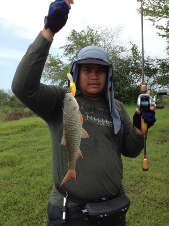 Test EverGreen Commat Crank320 Part II
เป็นรวมๆภาพครับ