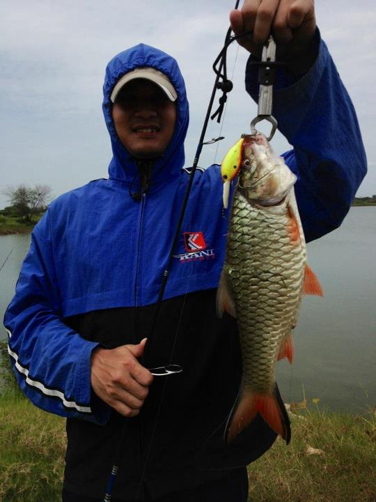 Test EverGreen Commat Crank320 Part II
เป็นรวมๆภาพครับ