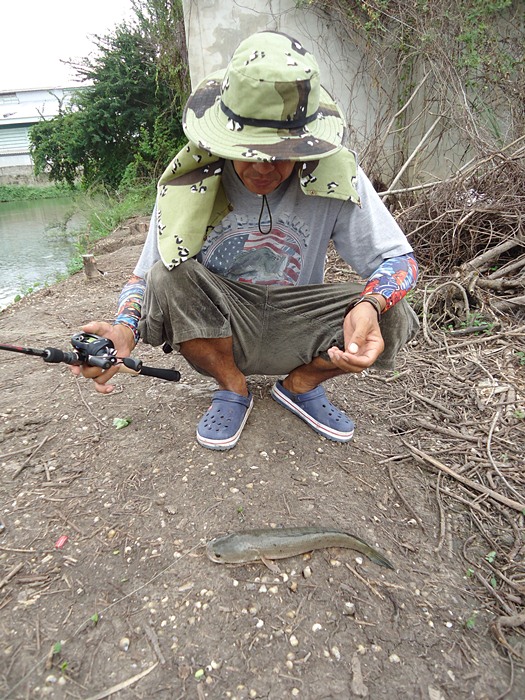 พี่ติ่ง..ได้อีกตัว :cool: :cool: :cool: