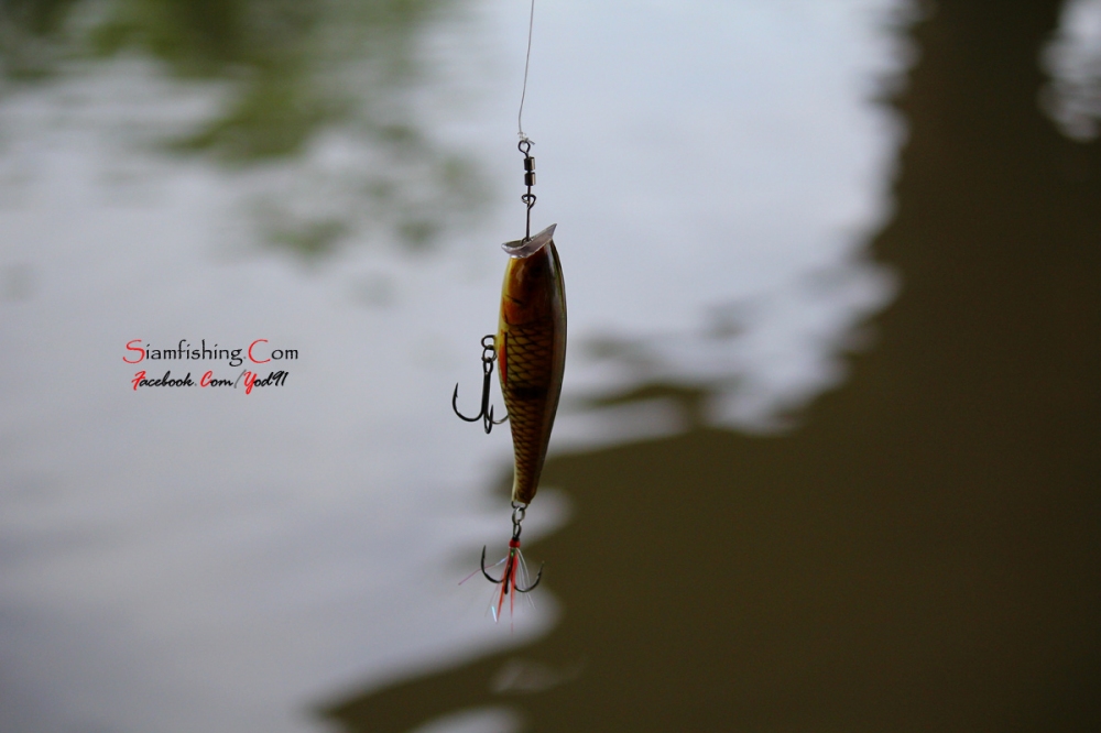 [q][i]อ้างถึง: ศาลายอด posted: 08-07-2555, 22:49:26[/i]



เอ้ยยยย............เซ็ง.........รอดได