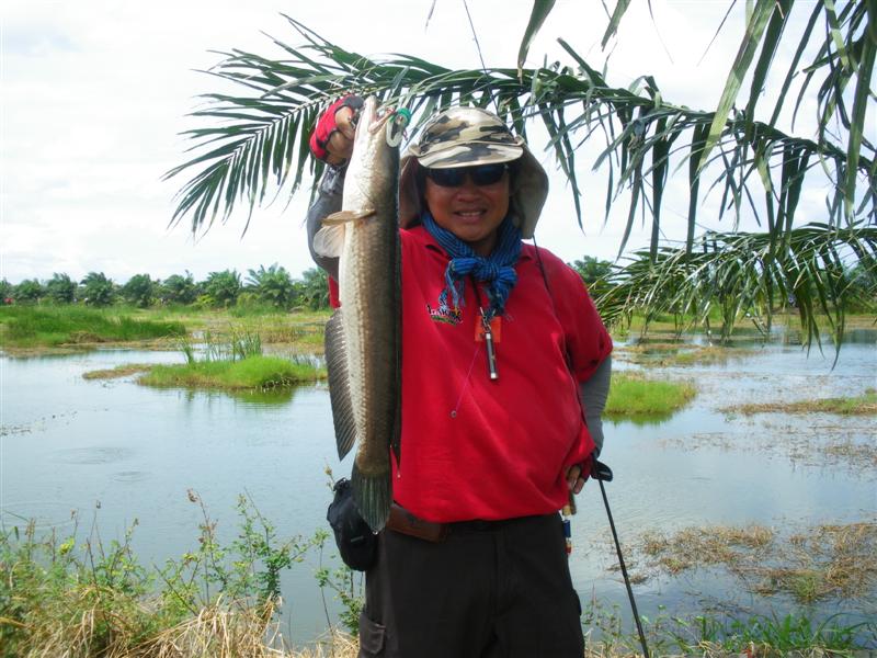 หลังจากเจอหลุม
 :grin: :grin: