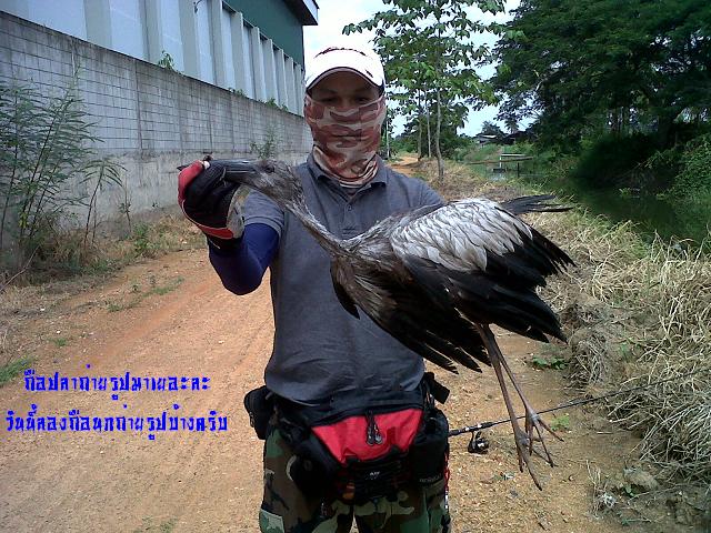 +++ ว่าแล้วก็จัดไปหนึ่งภาพครับ +++

 :dance: :love: :love: :love: :love: :love: :dance: