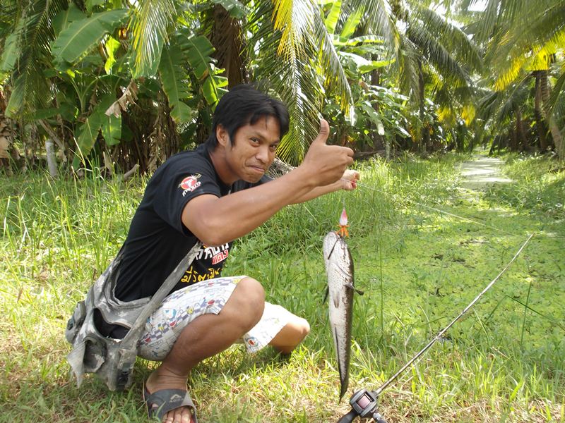 เจ้าจีจ้าครับทำเองกะมือไม่ใด้โม้ :laughing: :laughing: :laughing: