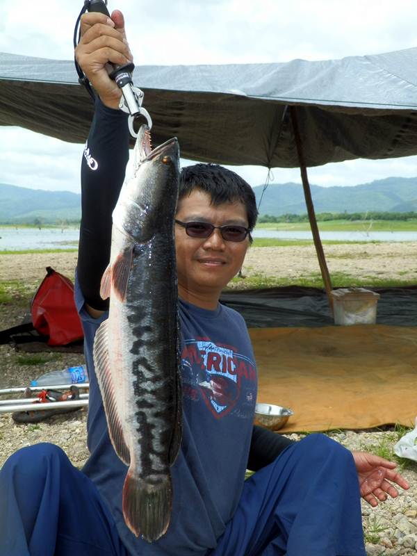 สวยครับ 