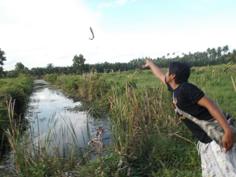 [q][i]อ้างถึง: nek posted: 09-07-2555, 20:48:46[/i]

สวดยวดดดดดดดดดด[/q]

ขอบคุณครับน้าเนก... :p