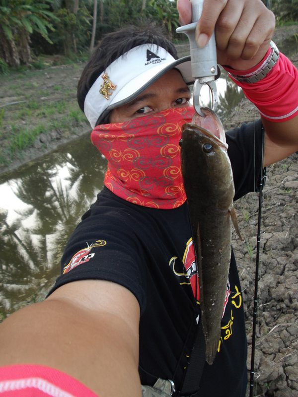 [q][i]อ้างถึง: FishingDaD posted: 09-07-2555, 21:01:11[/i]

สวัสดีครับ...ออกกันถี่ยิบเลยอ่ยาลืมทำง
