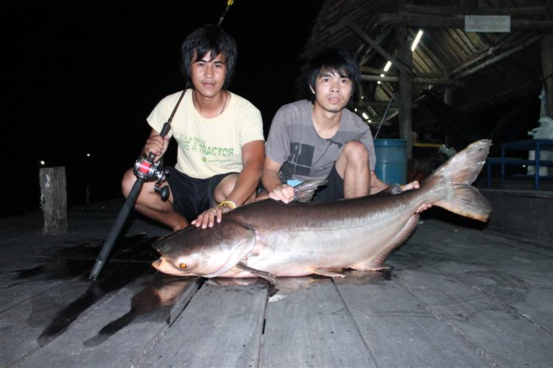 ปลาใหญ่เริ่มเข้า จัดมาแบบ DUO  หล่อๆกันไปนะ  :cheer: :cheer: :cheer: :cheer: :cheer: :cheer: :cheer: