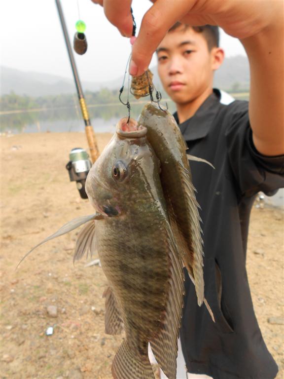  :kiss: :kiss: :kiss: เริ่มเป็นมืออาชีพแล้วครับ...
จัดมาทีละสองตัวเลย เยี่ยมครับ..เดย์ AB Fishing  