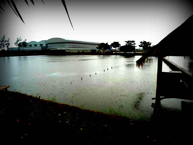น้องฝนมาเยี่ยมแต่เช้า่ ................. 9 โมงกว่า ยังไม่ได้ไปไหนเลย  :sad: :sad: :sad: :sad: :sad:
