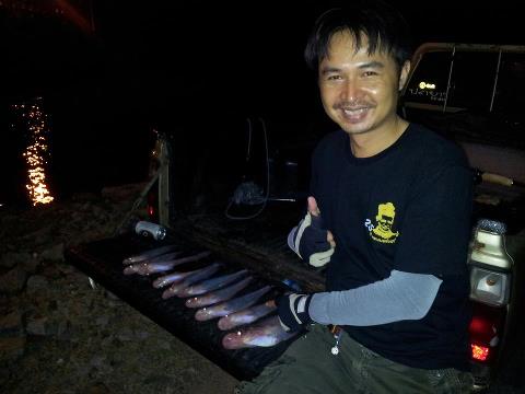 ซ้ำอีกที ได้มาอีกนิดหน่อย แล้วก็เงียบไปเลย ฝูงไปจริงๆแล้วคราวนี้  :cheer: