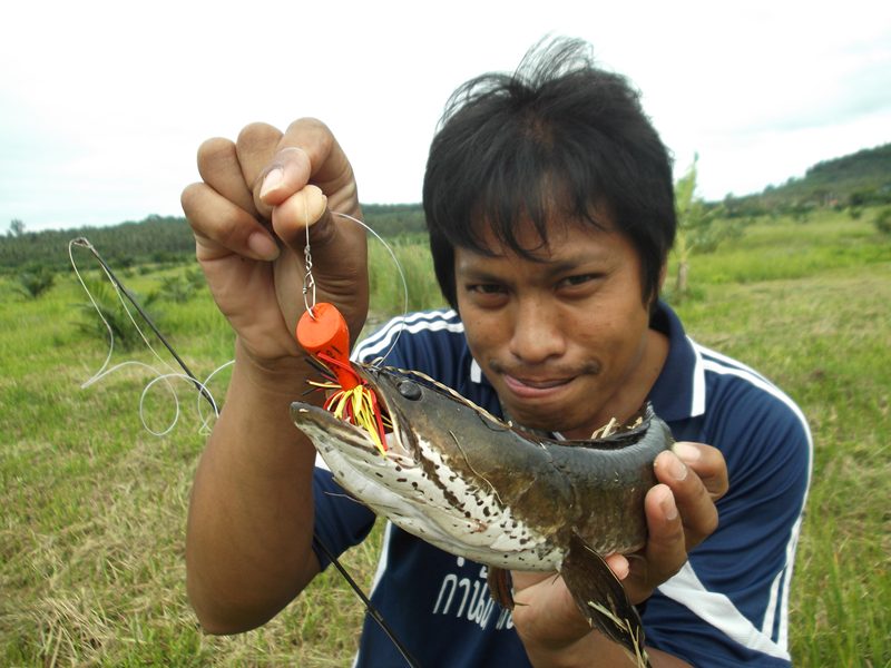                      เออเอ็งเก่ง....ข้ามันตกปลาตัวใหญ่ไม่เป็นร๊อก....เพราะเมียข้าตัวเล็ก..( พาลซะ)..