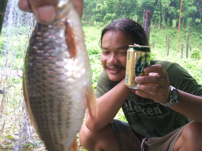 ตัดมาตอนเช้าวันใหม่เลยละกัน  แม่ปลาผลงานของผู้อาวุโส  ส่วนผมฉลองให้กับคืนแรกที่ผ่านไปด้วยดี รอดตายจา