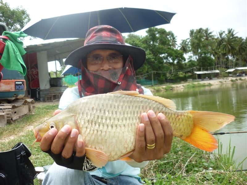 บันทึกภาพให้น้ามดกับปุ้มปุ้ยครับ  :smile: