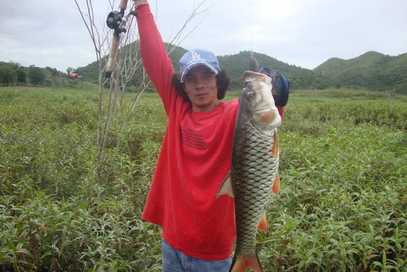 กระสูบเพชรบุรี