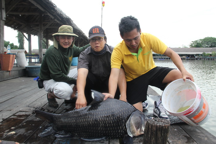 กะโห้สะงั้น ถ่ายหน่อยๆ ให้น้ำๆ   :grin: :grin: