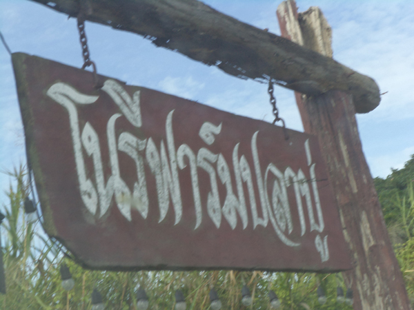 นัดรวมตัวไปตกมั่วๆที่แพโนรี