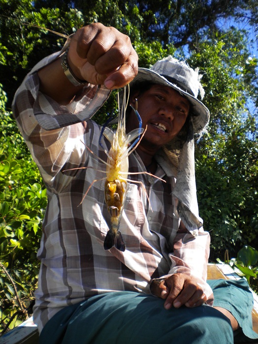 กุ้งไข่ อ่อน อีกละ  :laughing: :laughing: :laughing: