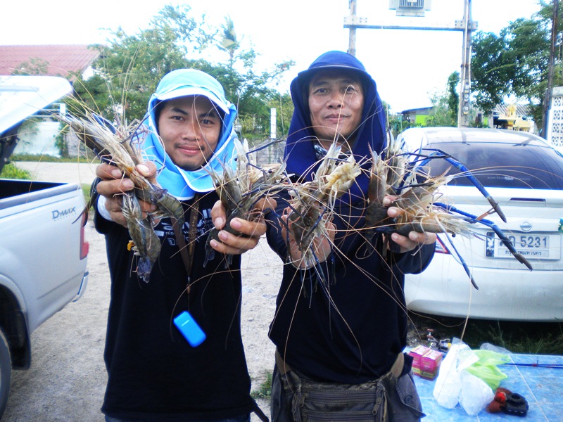 ไม่ต้อง PM มาขอนะจ๊ะน้าๆ  มันหมดตั้งแต่วันแรกแล้ว  :laughing: :laughing: :laughing: :laughing: