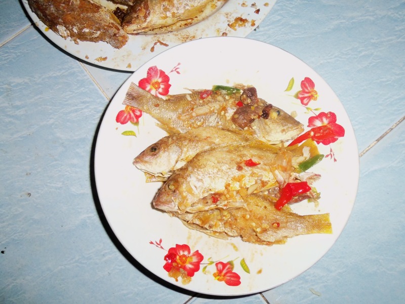 ปลาเล็กอร่อยกรอบๆ :cheer: :cheer: :cheer: :cheer: :cheer:ตามด้วยเครื่องดื่มที่ชอบ ผมไม่ลงภาพเครื่องด