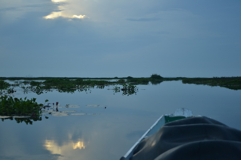 บรื๊นๆๆๆ ไต๋ขับเรือวนไปเรื่อยเพื่อนหาปลาขึ้นฝูงครับ แต่วันนี้อากาศไม่ค่อยเป็นใจครับ ไม่มีแดดครับ