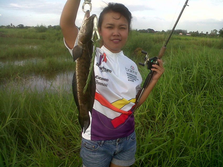 [q][i]อ้างถึง: ปาการังเทียม posted: 16-07-2555, 21:59:32[/i]

+1

++++++++   ตามชม  คร้าบ   น้า 