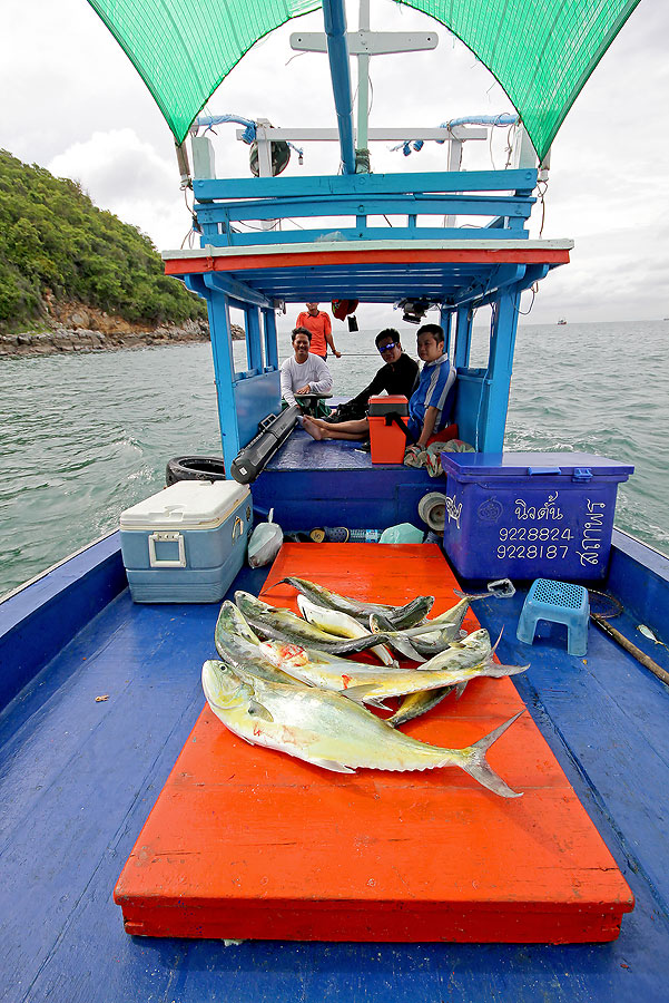 
 [b] เรากะว่าต้องกลับให้ทันเรือเที่ยว 5 โมงเย็น[/b]

 :cheer: